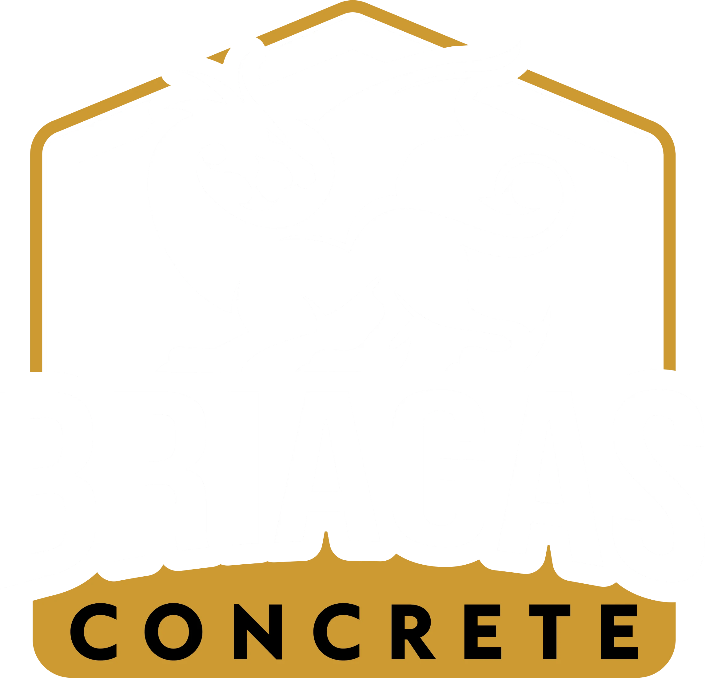 Briagas Concrete provides expert concrete services_ foundations, driveways, repairs, replacements, parking lots, and warehouse drainage